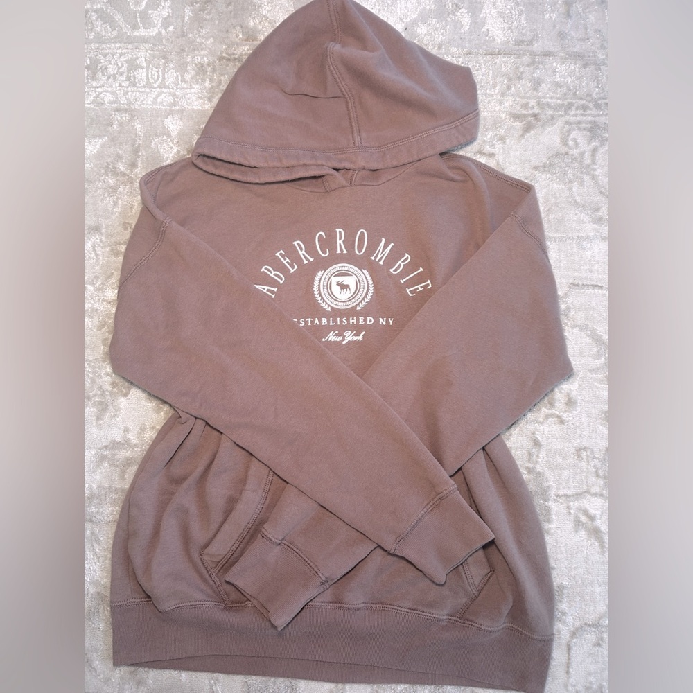 Abercrombie Kids Tan Hoodie
